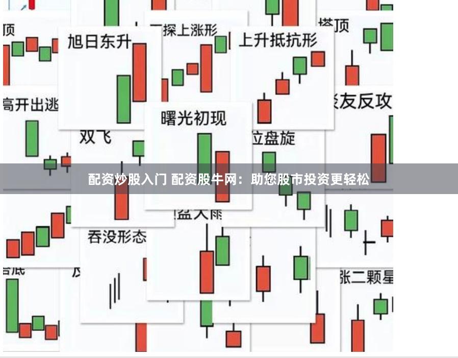配资炒股入门 配资股牛网：助您股市投资更轻松