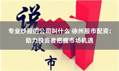 专业炒股的公司叫什么 徐州股市配资：助力投资者把握市场机遇