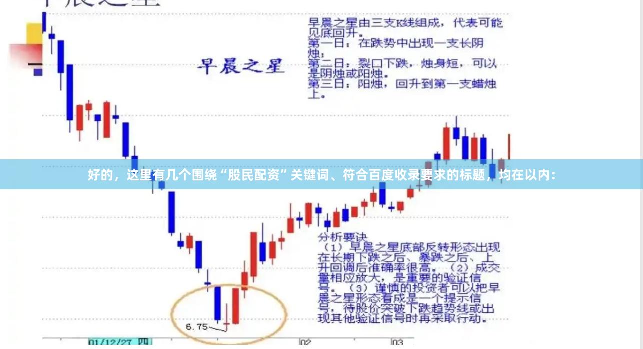 好的，这里有几个围绕“股民配资”关键词、符合百度收录要求的标题，均在以内：